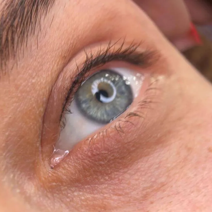 Powder brows permanent makeup — result